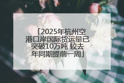 2025年杭州空港口岸国际货运量已突破10万吨 较去年同期提前一周