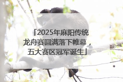 2025年麻阳传统龙舟赛圆满落下帷幕，五大赛区冠军诞生