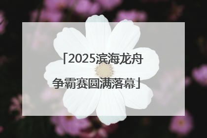 2025滨海龙舟争霸赛圆满落幕