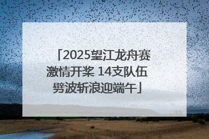 2025望江龙舟赛激情开桨 14支队伍劈波斩浪迎端午