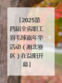 2025第四届全省职工羽毛球嘉年华活动（湘北赛区）在益阳开幕
