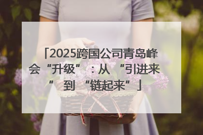 2025跨国公司青岛峰会“升级”：从 “引进来” 到 “链起来”