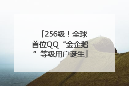 256级！全球首位QQ“金企鹅”等级用户诞生