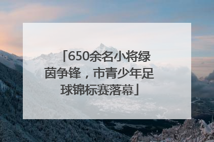 650余名小将绿茵争锋，市青少年足球锦标赛落幕