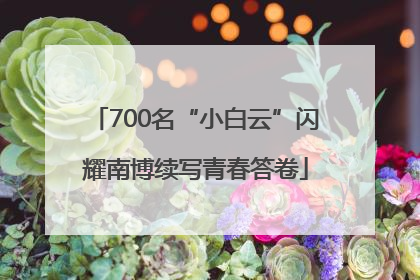 700名“小白云”闪耀南博续写青春答卷