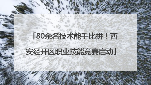 80余名技术能手比拼！西安经开区职业技能竞赛启动