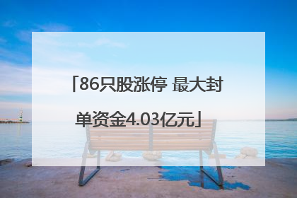 86只股涨停 最大封单资金4.03亿元