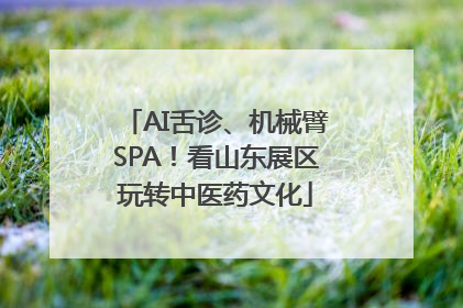 AI舌诊、机械臂SPA！看山东展区玩转中医药文化