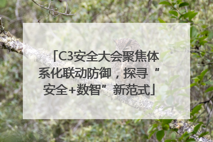 C3安全大会聚焦体系化联动防御，探寻“安全+数智”新范式